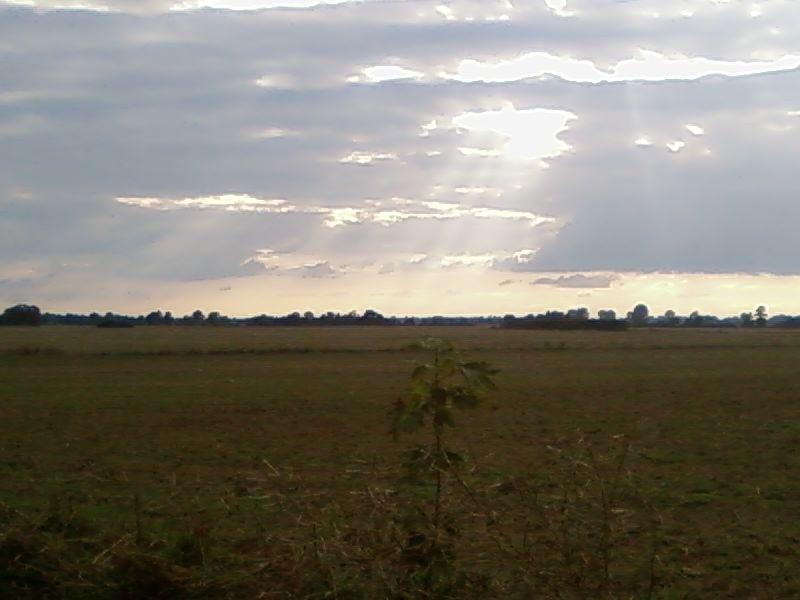 Taki tam widoczek