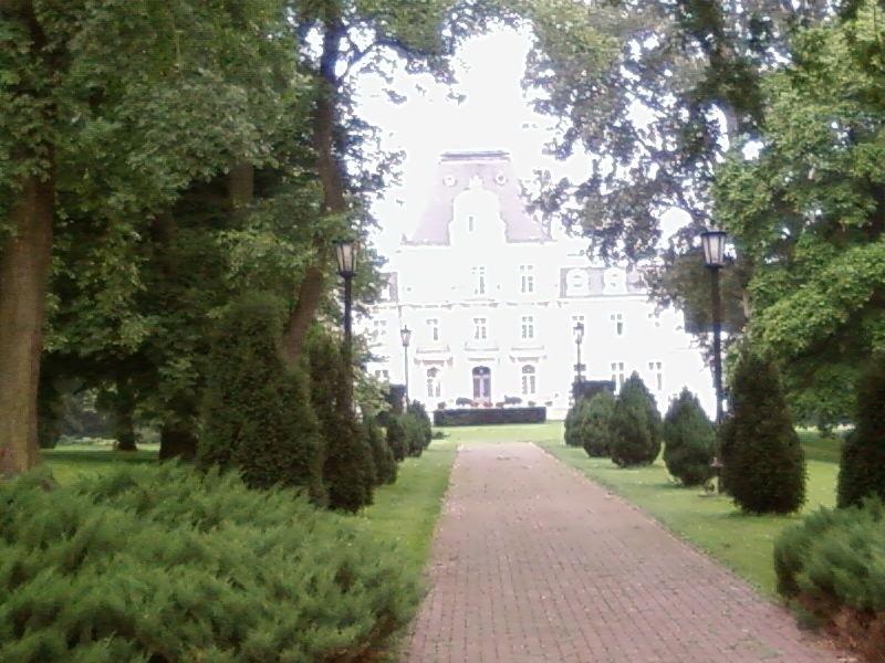Pałac w Zakrzewie