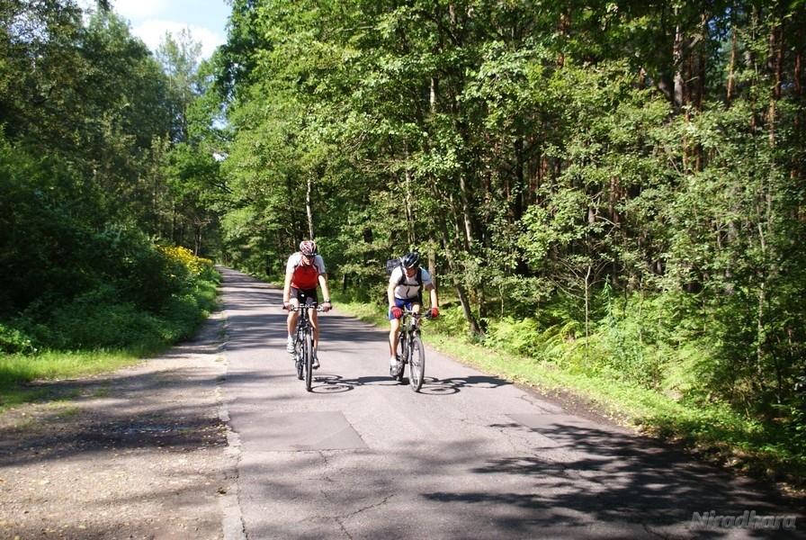 jadą i dyskutują o rowerach