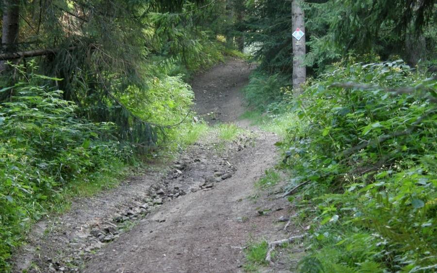 Mocna końcówka podjazdu na Huzary