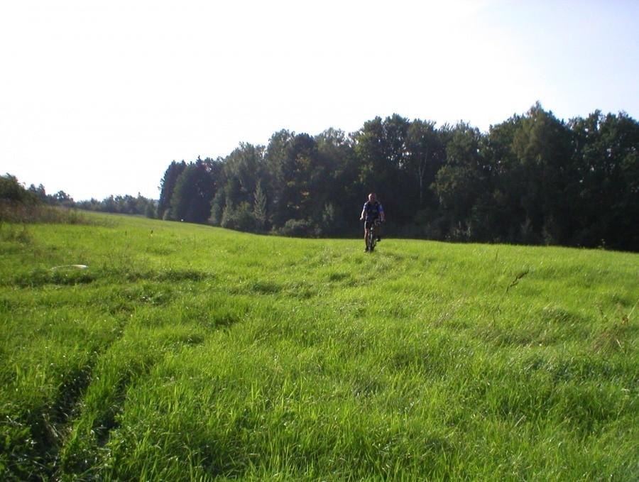 DARECKI NA ,,POŁONINACH'' NAD WEKLICAMI