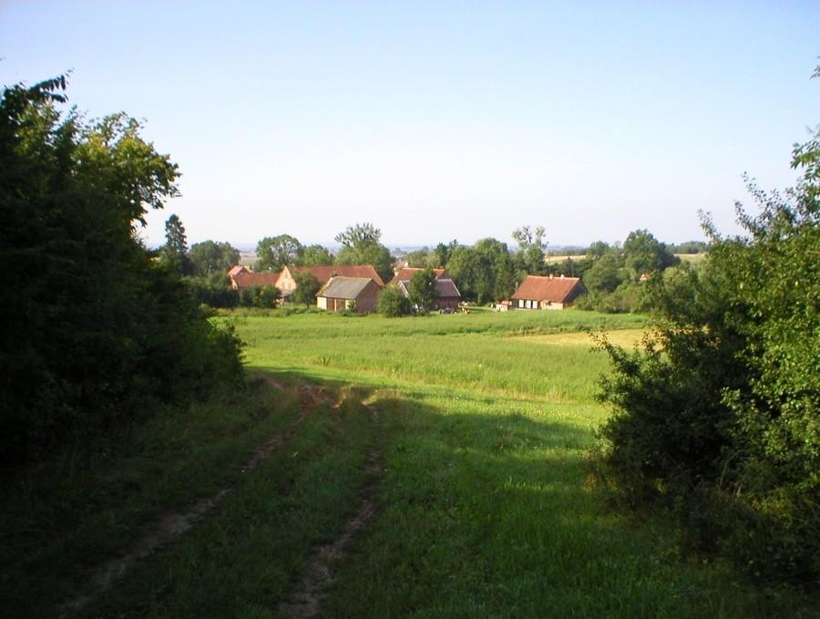 PANORAMA WEKLIC