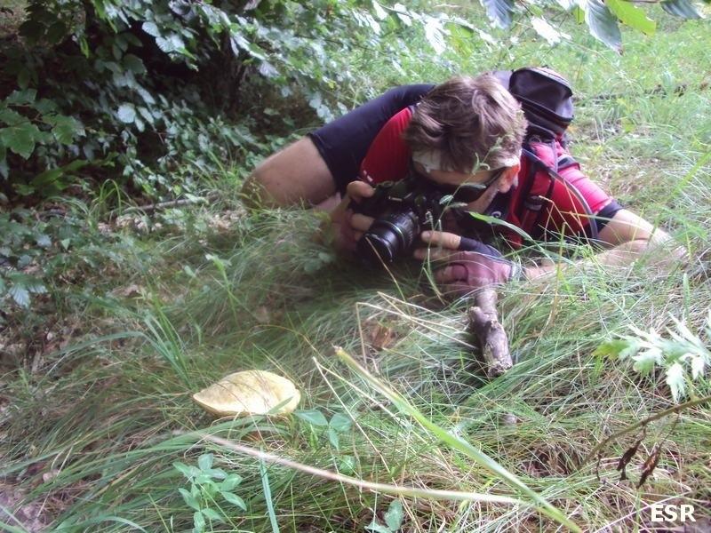 Fotograficzne grzybobranie