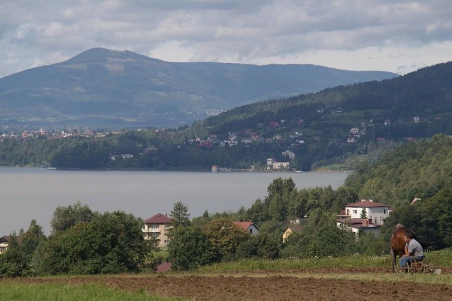 Myślałem, że konie pracują tylko na Litwie a tu proszę:)