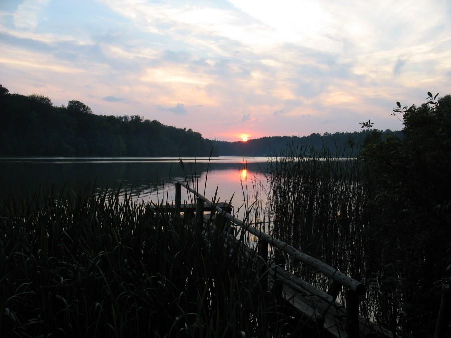 Stare Jabłonki