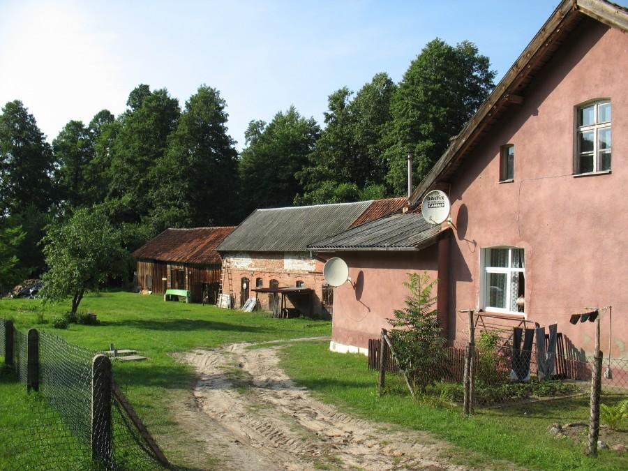 Buńki