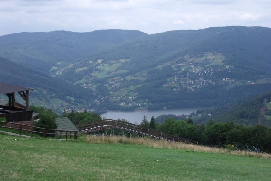 Widoczek