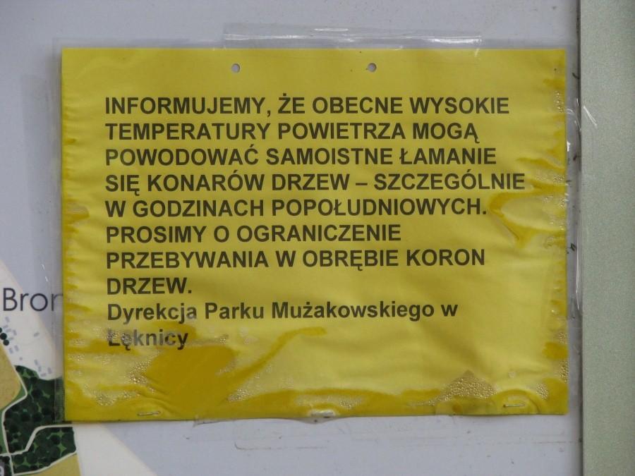Uwaga! Spadające konary