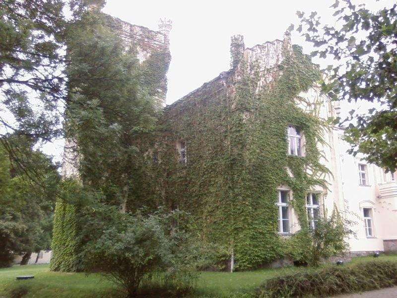 Pałac w Krześlicach