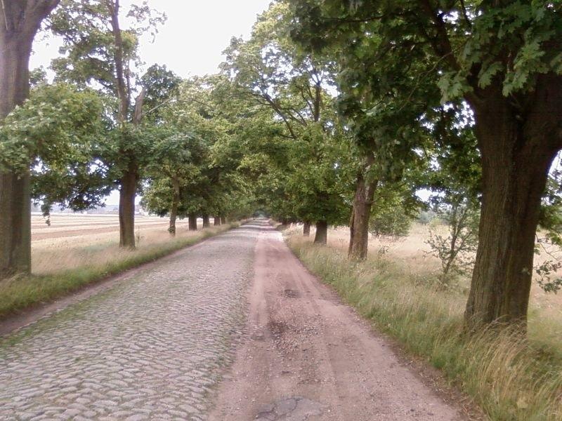 Trakt Bednarski