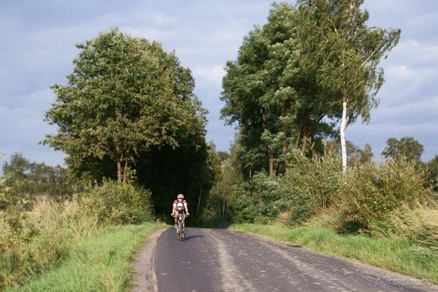 minipodjeździk, a cieszy