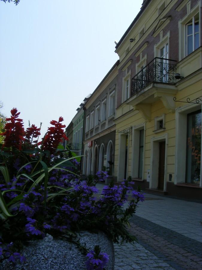 Na rynku w Jaśle