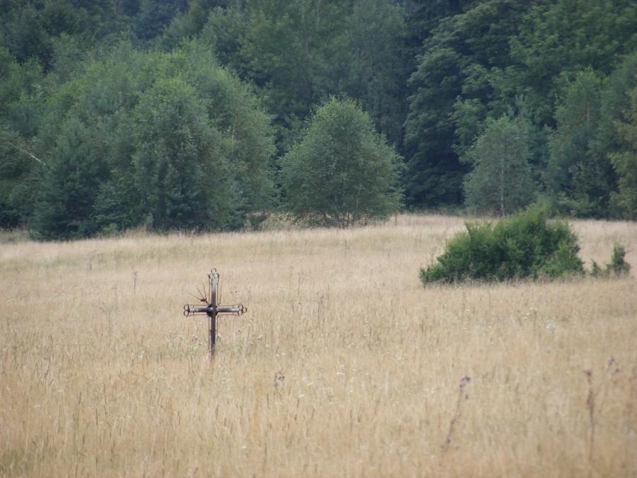 Krzyż w trawach na kompletnym odludziu