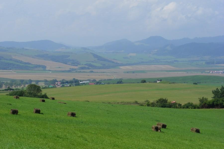 Podczas zjazdu do Starej Lubovny