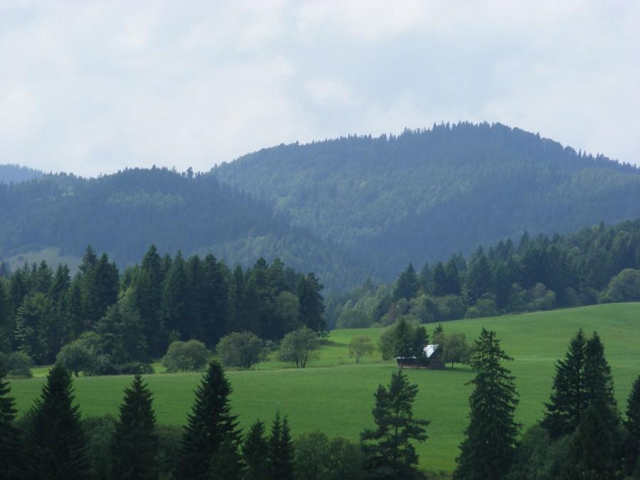 Górki w drodze na przełęcz