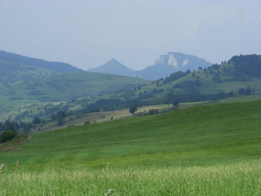 Na przełęczy Strananske Sedlo- widać już Pieniny