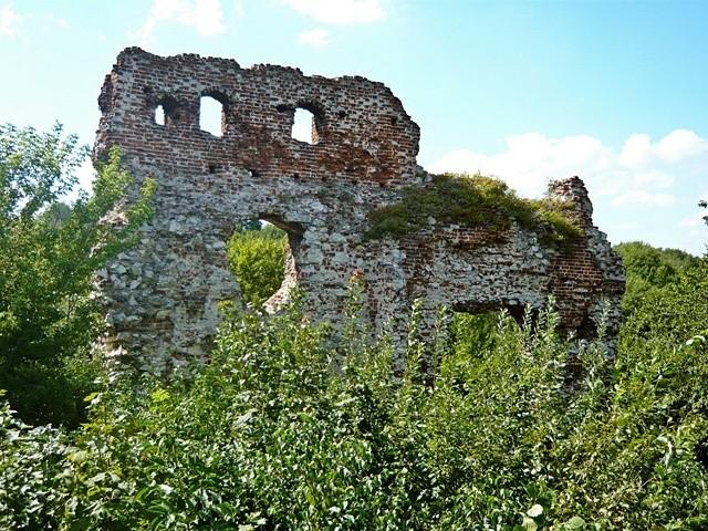 Ruiny zamku w Bochotnicy