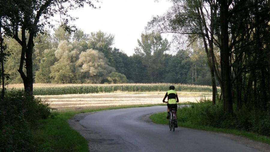 Ela wśród pól i małego lasku :)