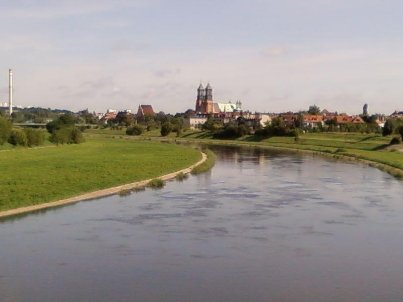 Warta i katedra