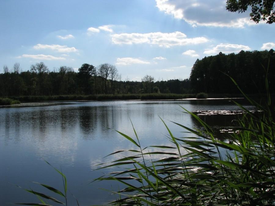 Jezioro Żurawno