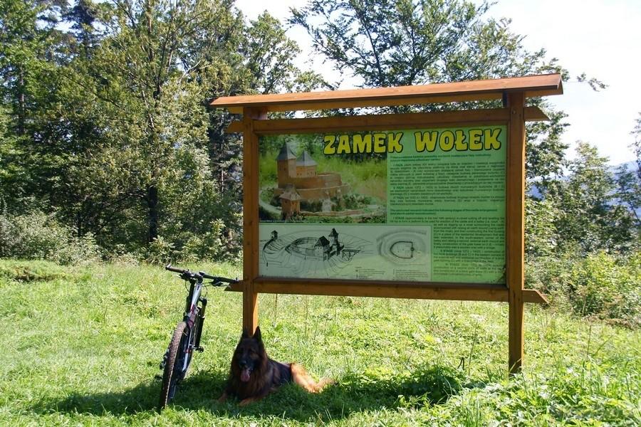 ten rower jest dobrze strzeżony
