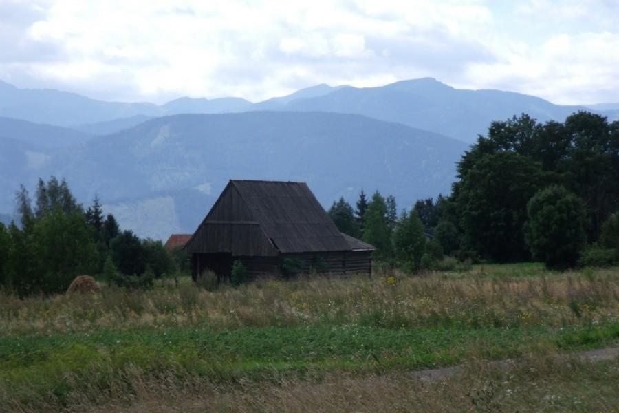 Widoczek