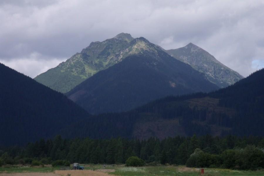 Widoczek