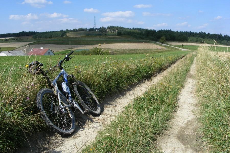 Przede mną już widać Wilcze