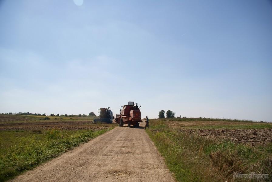 kombajny tarasują nam drogę