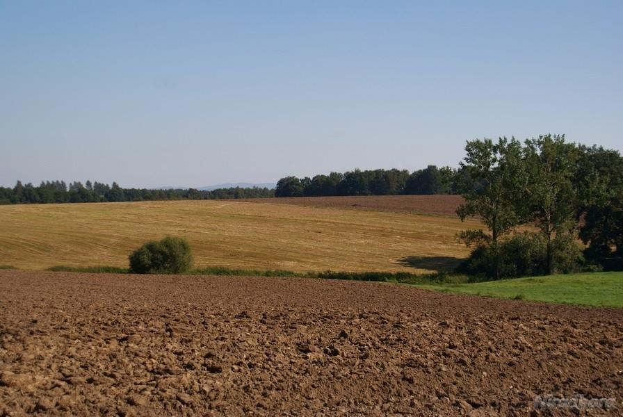 na polach już jesień