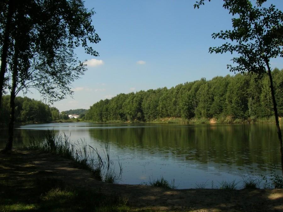 stawik w Parku Leśnym w Piekarach Śląskich