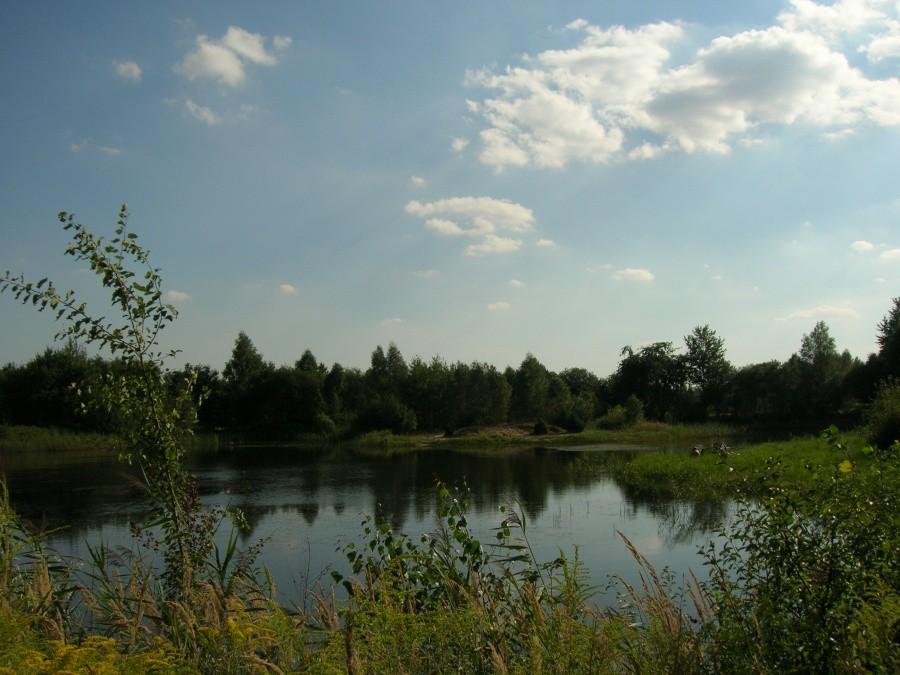 staw "Zendka" w Miasteczku Śląskim