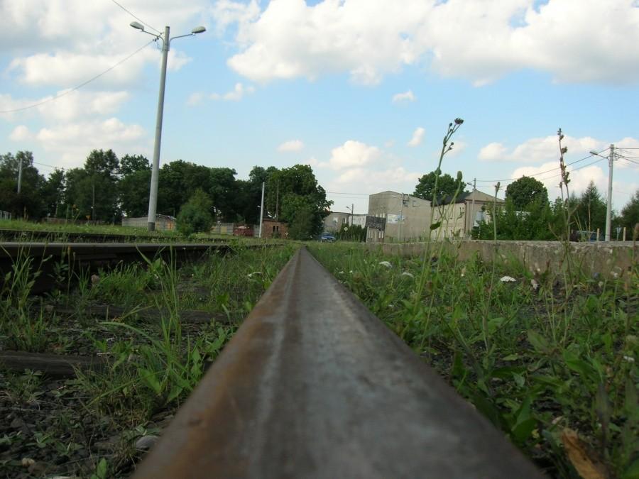 szyna