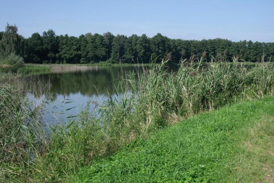 Stawy Adolfińskie