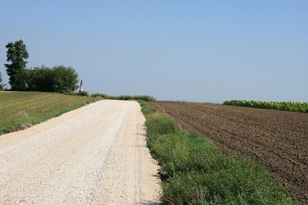 Droga nad Nidą
