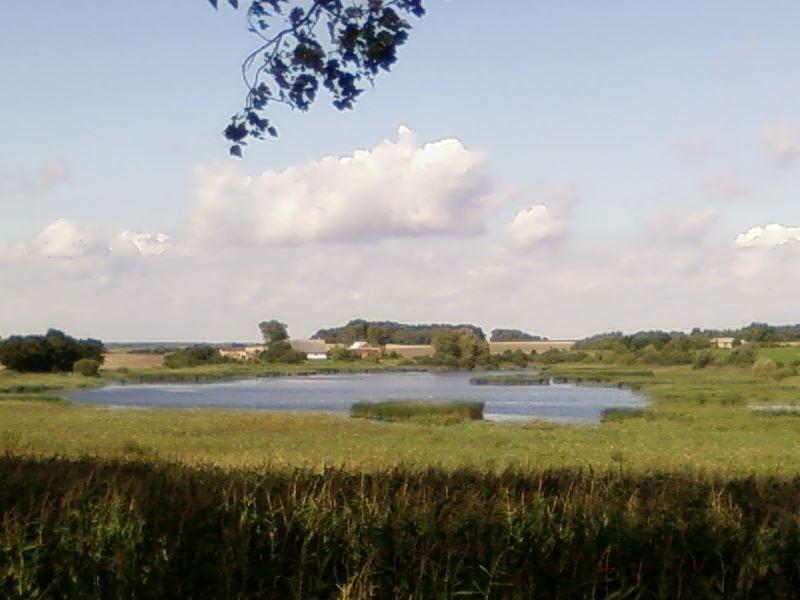 Jezioro koło Rybna Wielkiego