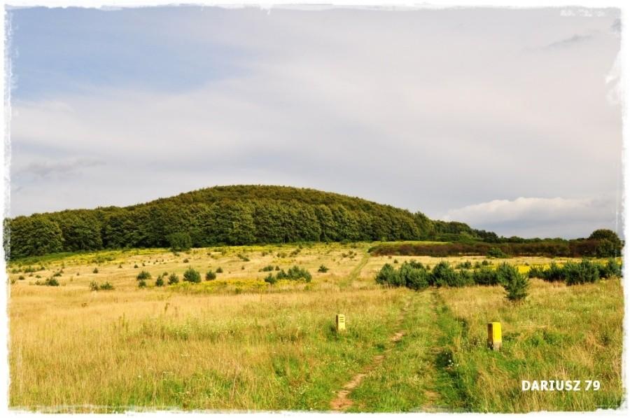 Bukowa Góra 366 m n.p.m