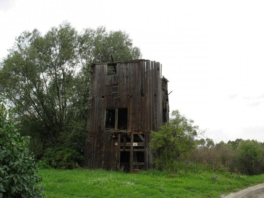 Łęg - ruiny koźlaka