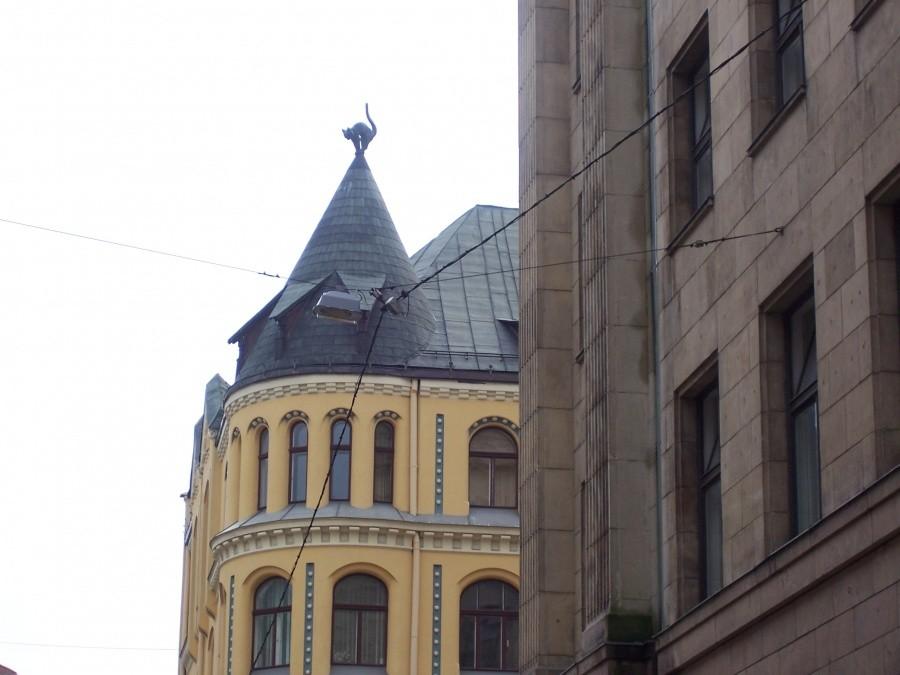 dom Kotów