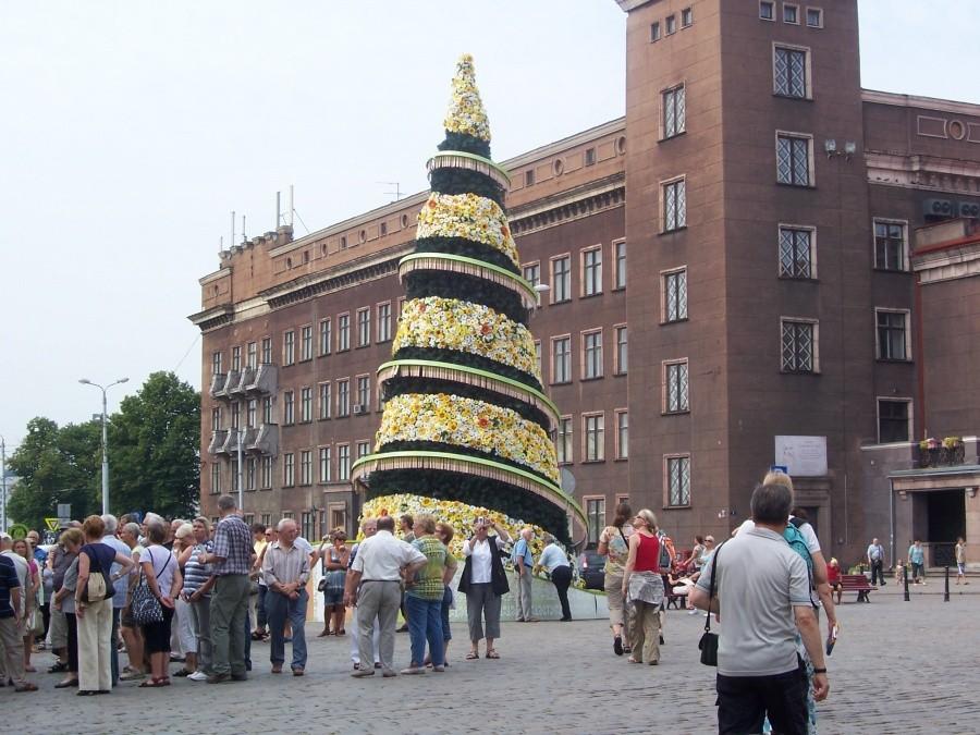 całoroczna choinka