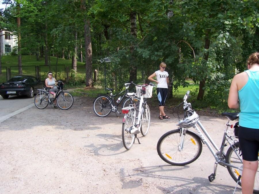 w drodze na camping