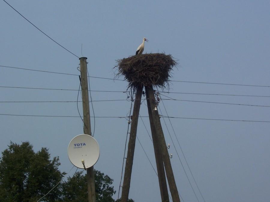 kraj bocianów