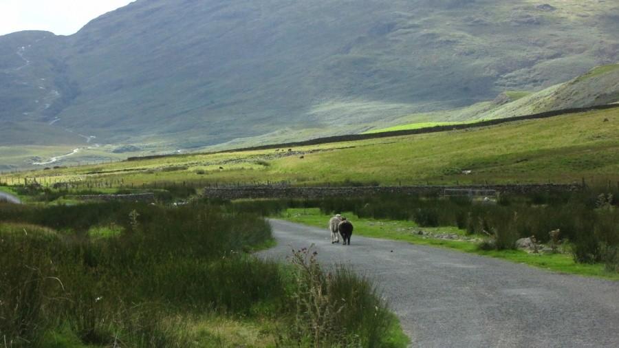 Wrynose Pass, Lake District, Cumbria, UK
