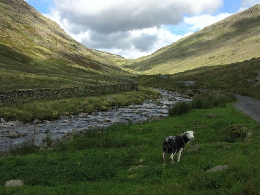 Lake District, Cumbria, UK