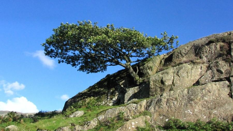 Lake District, Cumbria, UK