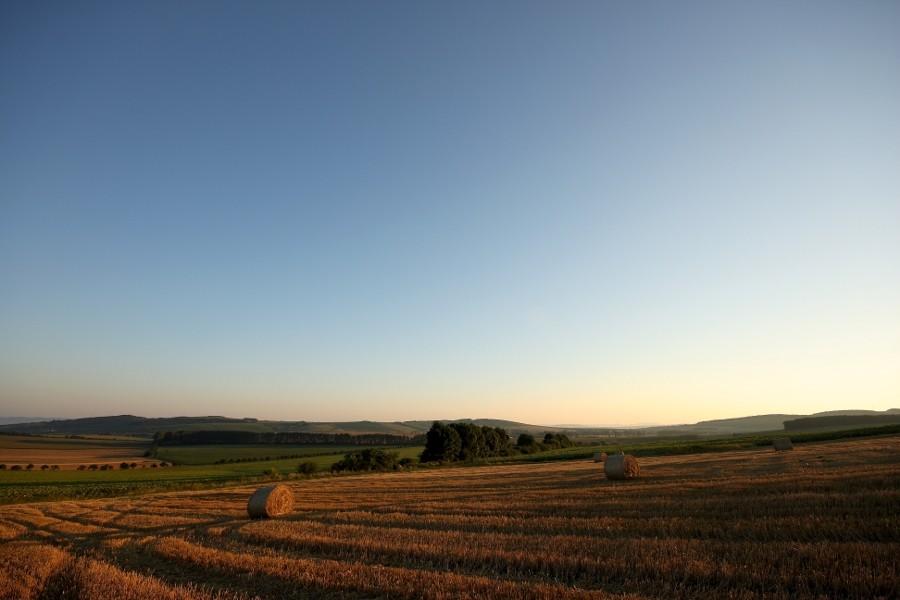 Poranek w Czechach