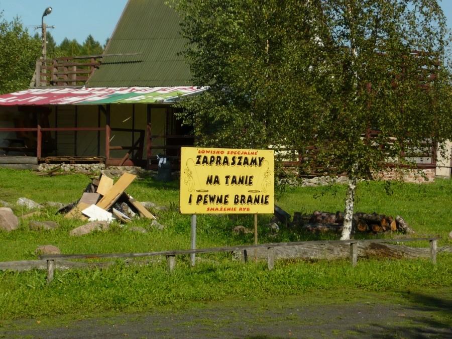 : Prawie jak reklama dyskoteki ;)