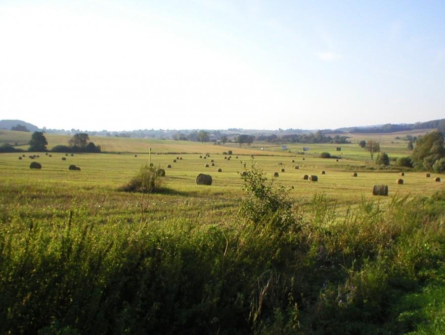 PEJZAŻ PRZED SANOKIEM