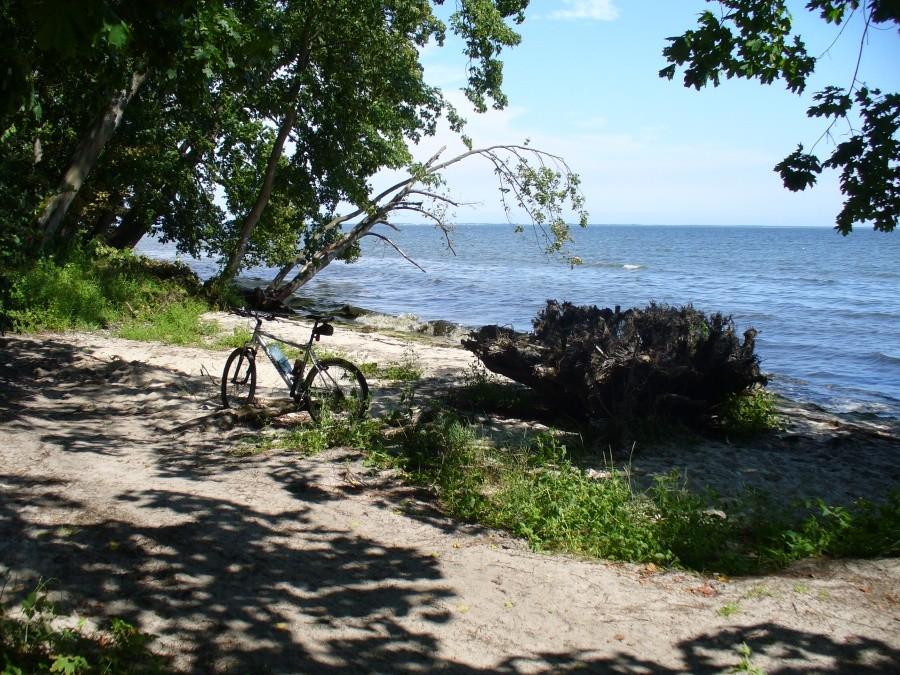 Wybrzeże w Rzucewie