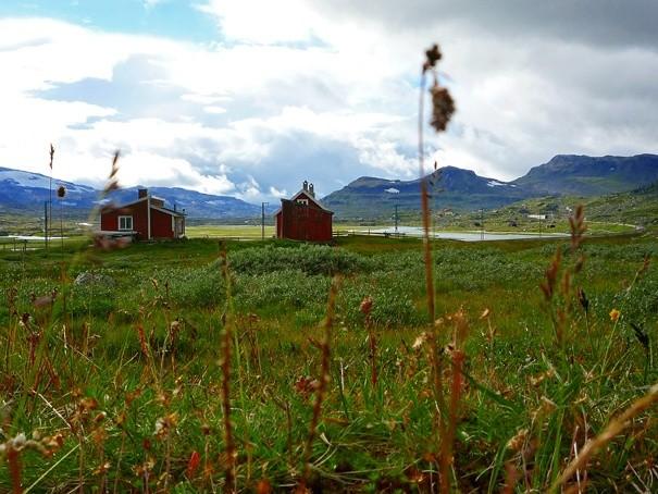 Rallarvegen 2010
